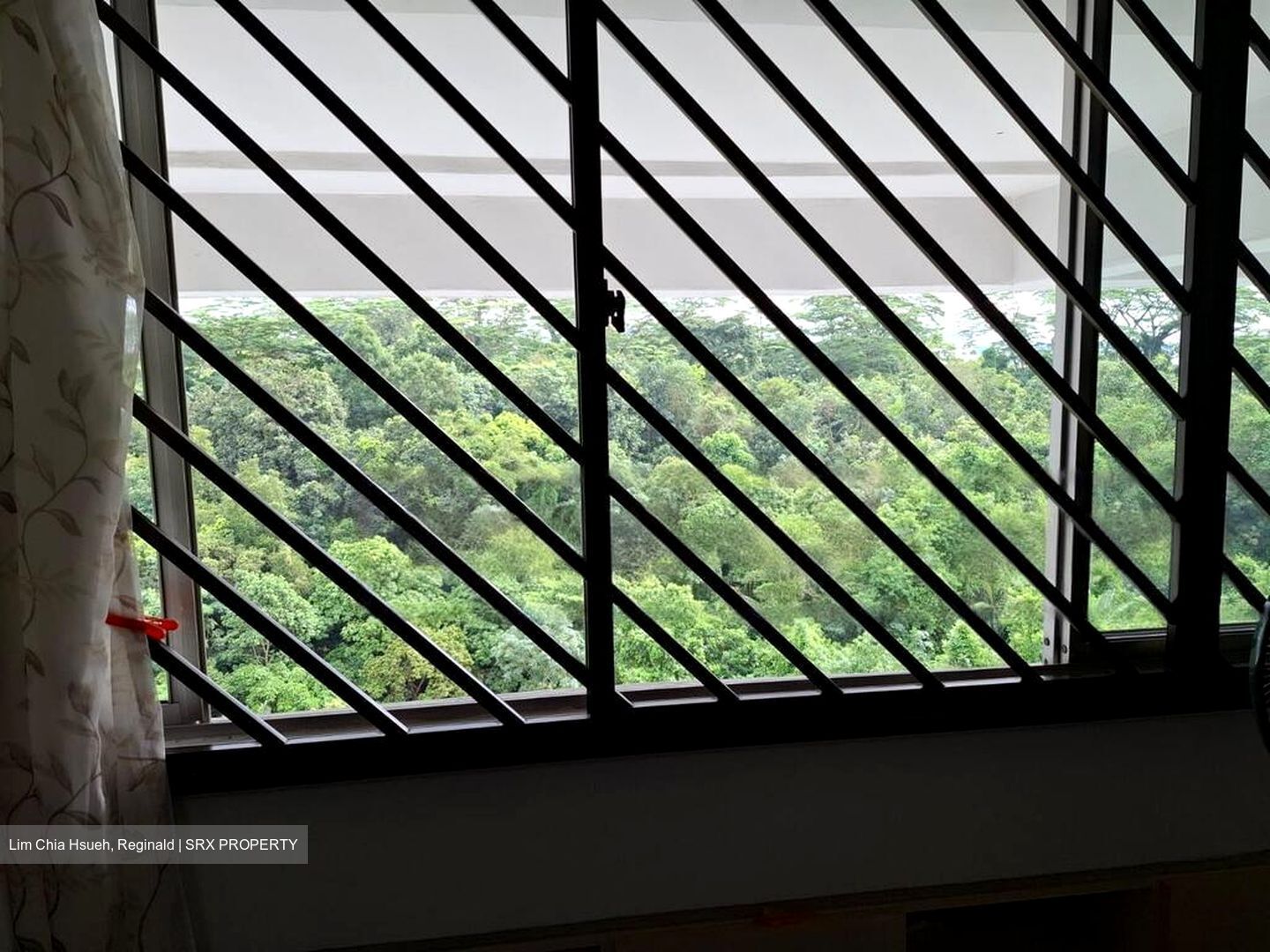 Blk 118 Sunset Way Residence (Clementi), HDB 4 Rooms #459674411